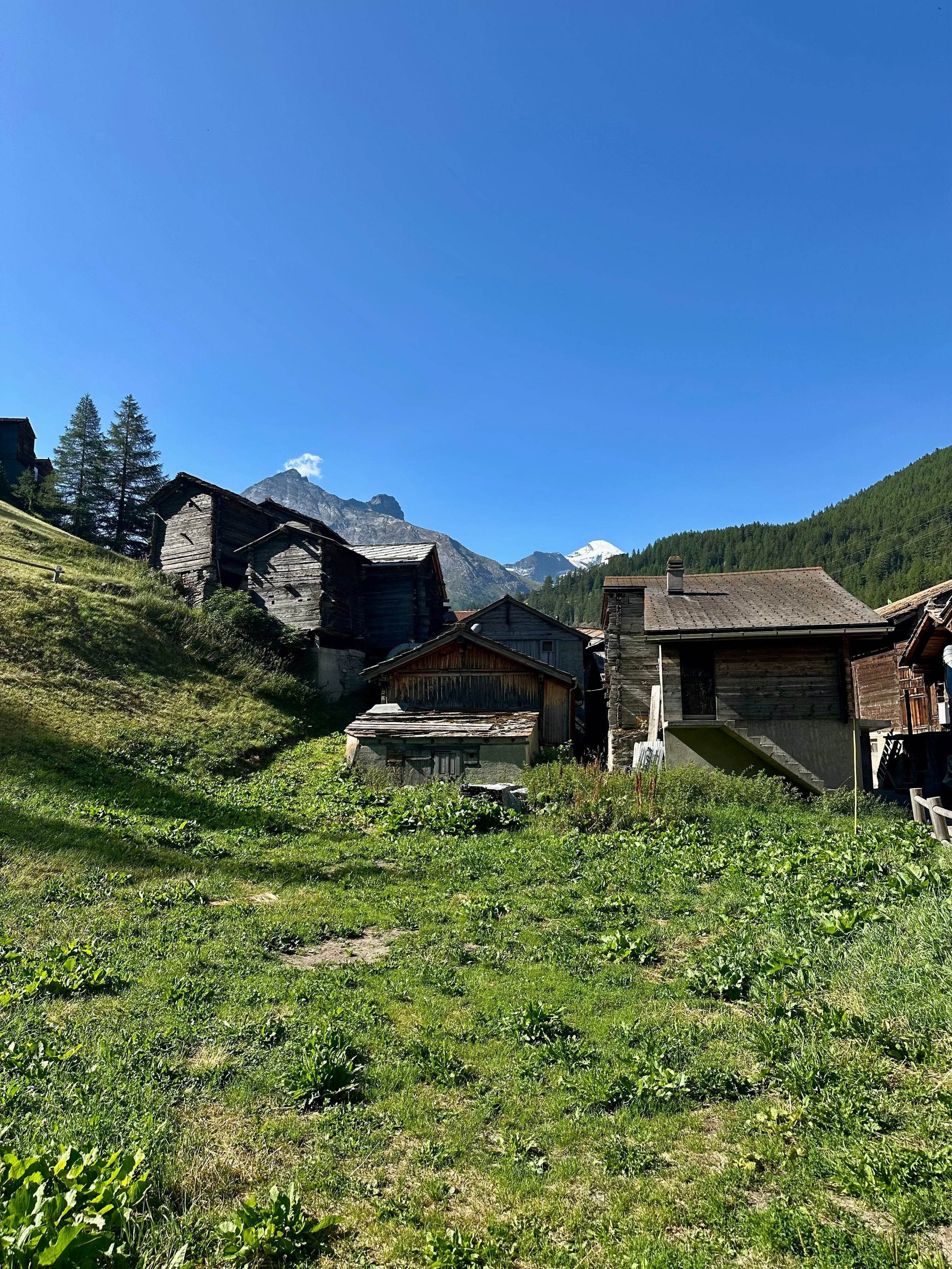 Hameau de montagne en été, granges et maisons en bois bruni sur socles de pierre